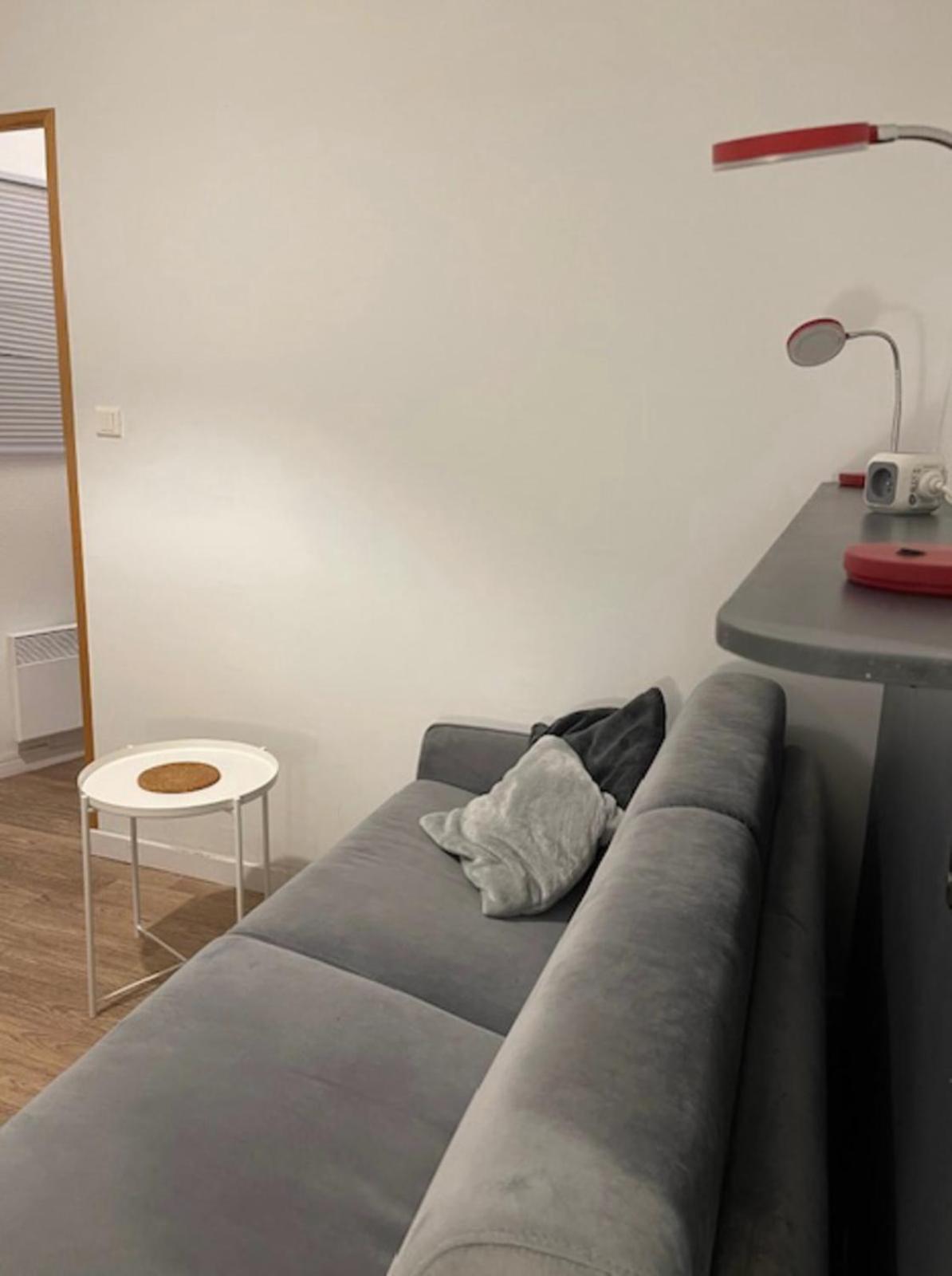 Cosy Studio 16M2 Лион Экстерьер фото